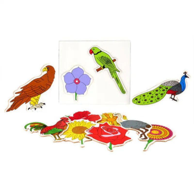 Eduedge Magnetic Birds And Flowers