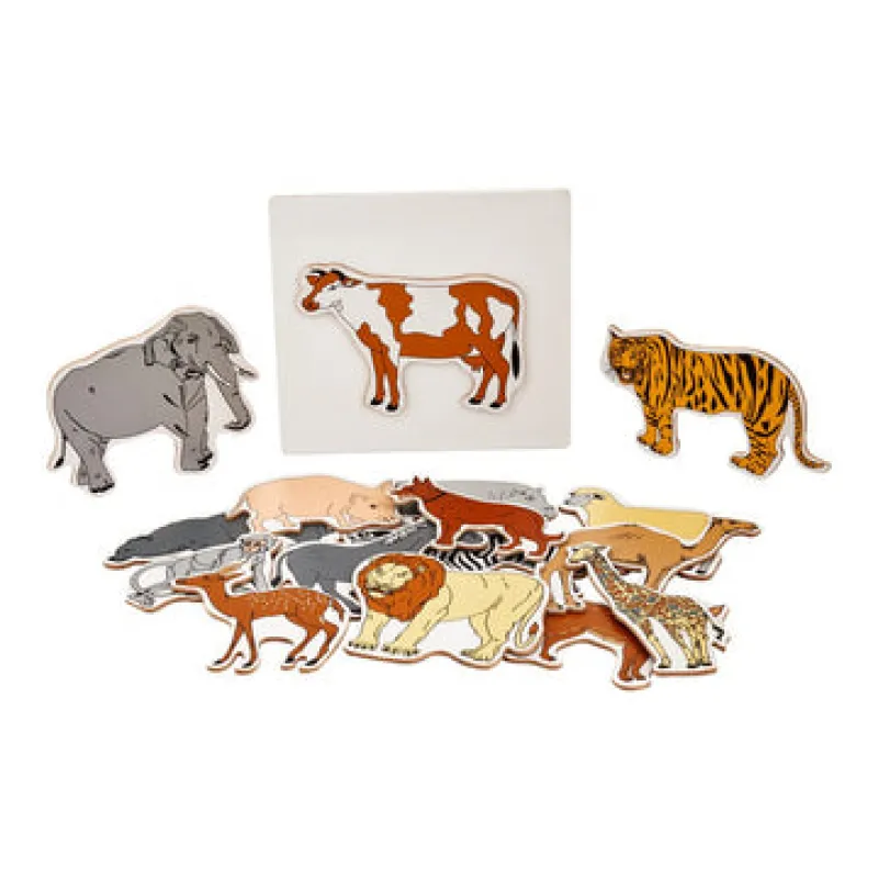 Eduedge Magnetic Animals