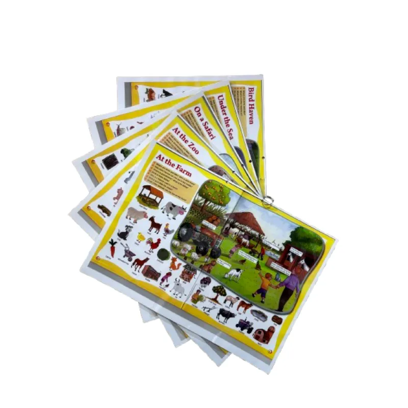 Safari, Farm, Zoo, Sea & Bird Haven Picture Talk