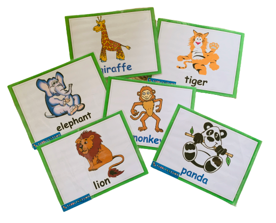 Animal Flash Cards - Wild