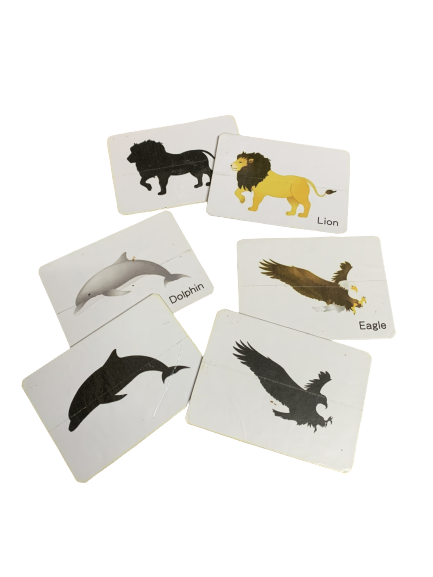 Animals And Birds Shadow Matching Game