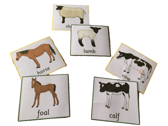 Animals and their Young Ones