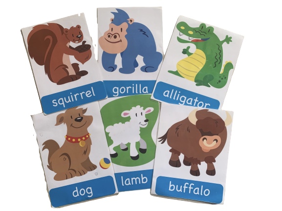 Animals Jumbo Flash Cards