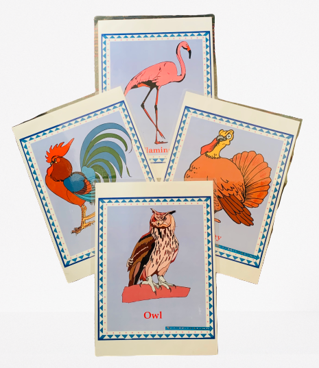 Birds Jumbo Flash Cards