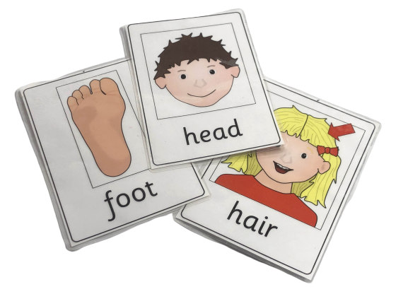 Body Parts Flash Cards -1