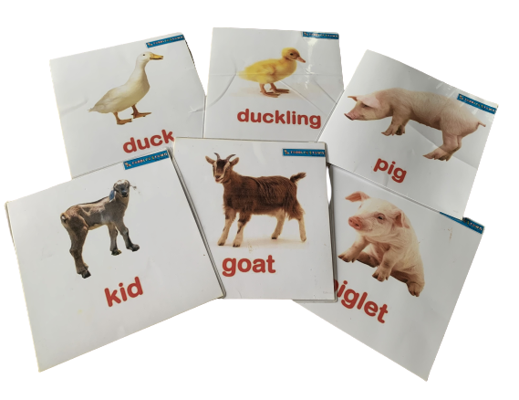 Farm Animals And Babies Flash Cards