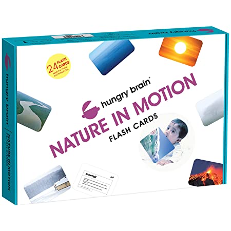 Hungry Brain Nature in Motion Flash Cards