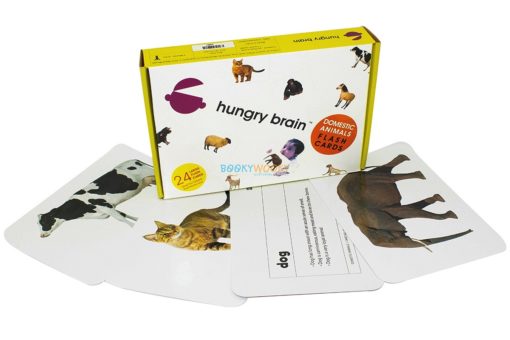 Hungry Brains - Domestic Animals Flash Cards