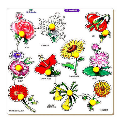 Little Genius – Wooden Flower With Knob