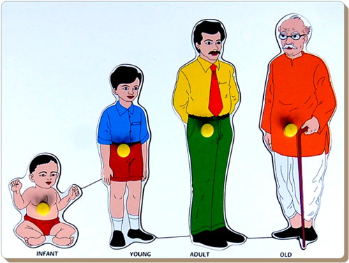 Little Genius &ndash; Wooden Growth Knob Puzzle