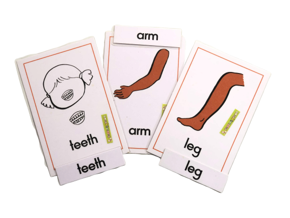 New Waves - LOOK and SAY Cards - My Body