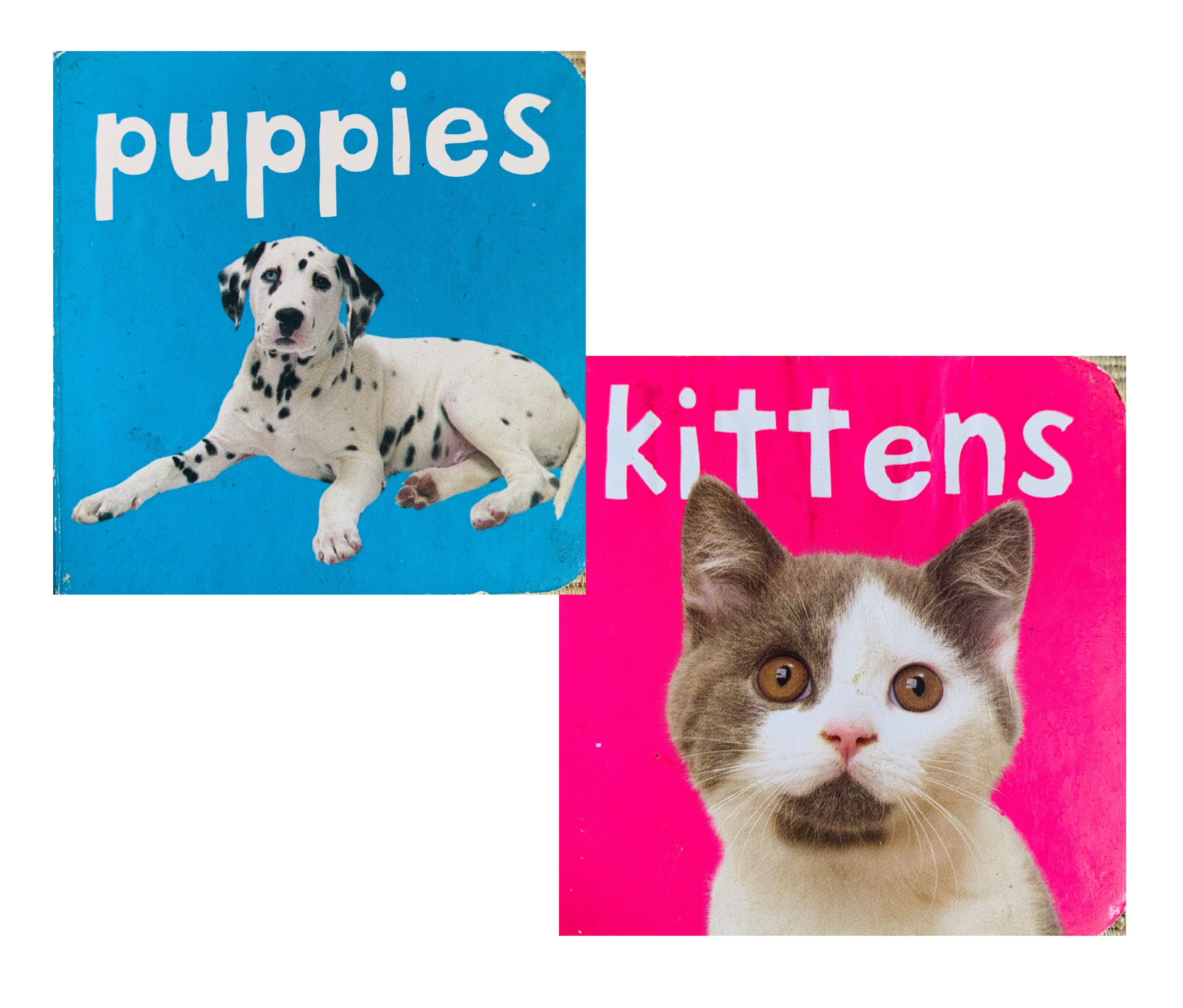 Puppies & Kittens Mini Books