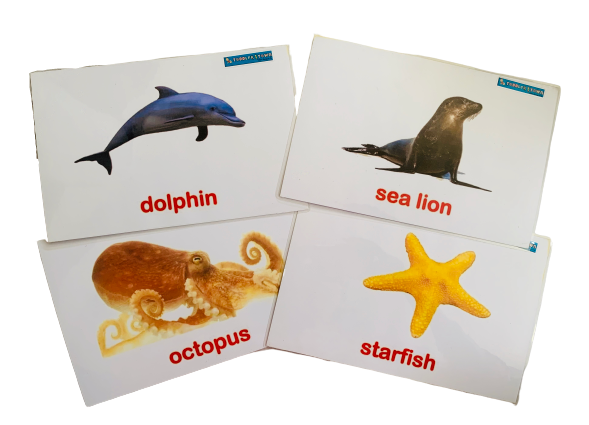 Sea Animals Flash Cards