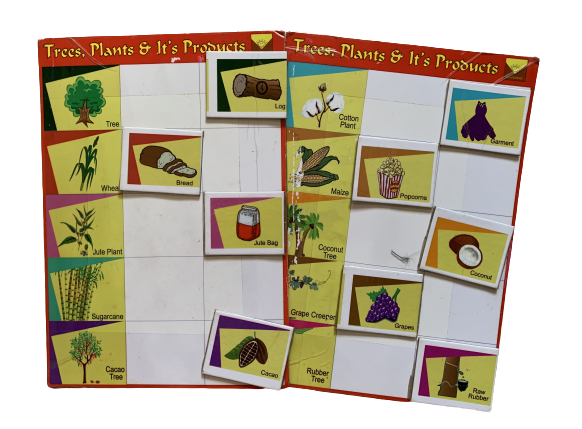 Sunrisers - Trees, Plants & its Products
