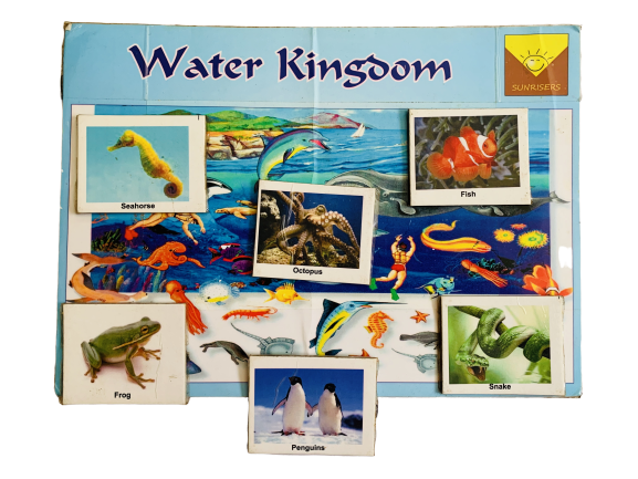 Sunrisers - Water Kingdom