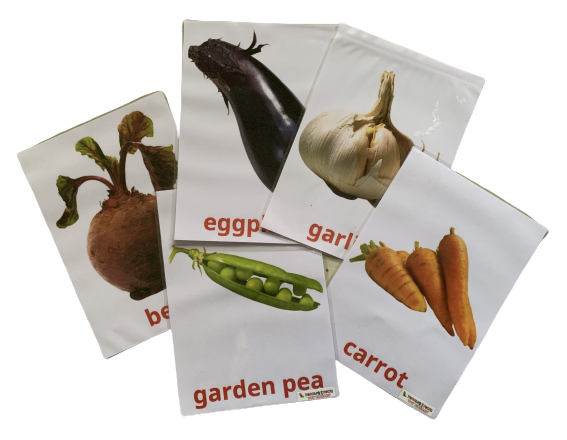 Vegetables Large Flash Cards - 2