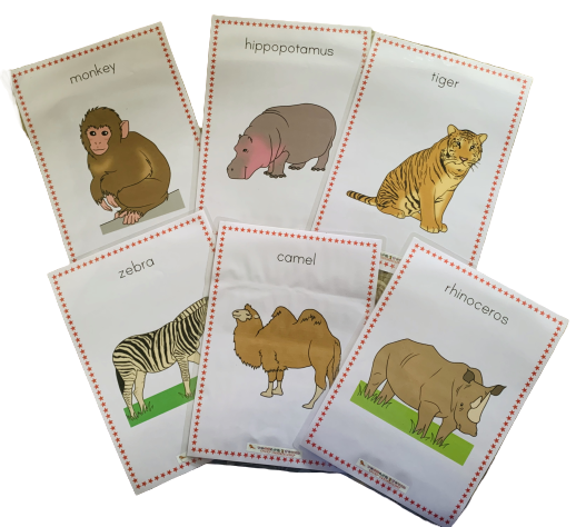 Wild Animal Large Flash Cards