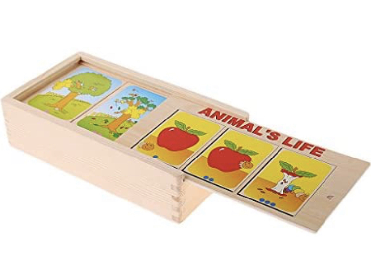 Wooden Animal's Life