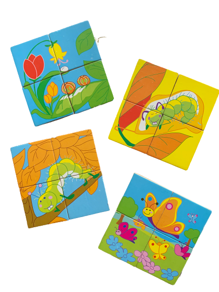 Wooden Butterfly Life Cycle Puzzle