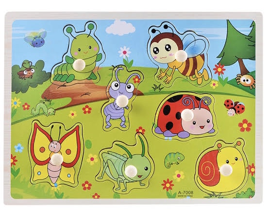 Wooden Insect Peg Puzzle