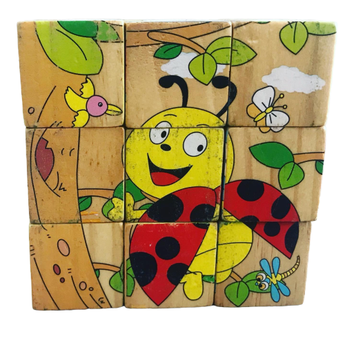 Wooden Insects Chunky Puzzle Blocks