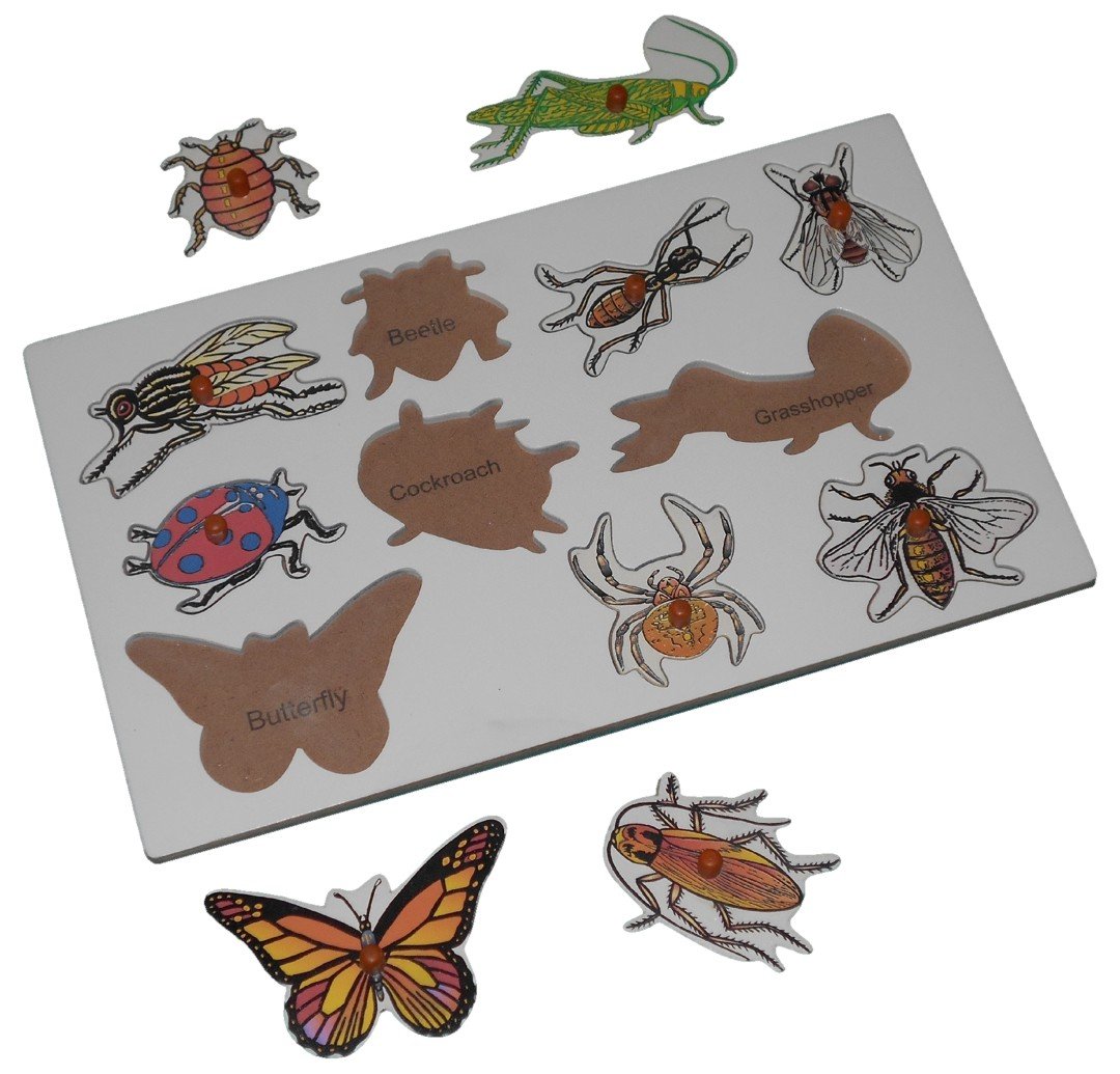 Wooden Insects Puzzle
