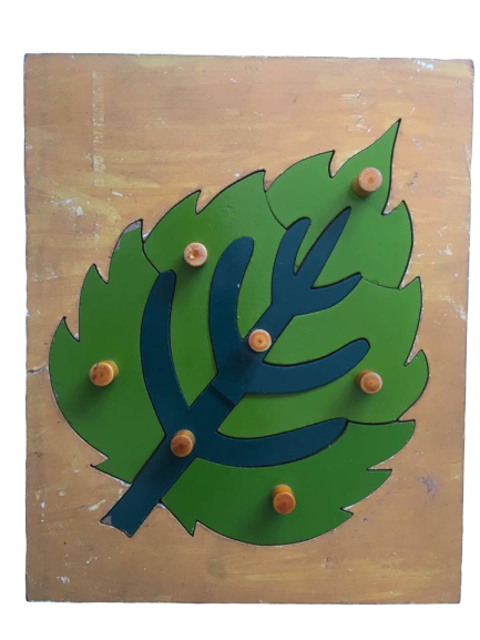 Wooden Leaf Peg Puzzle